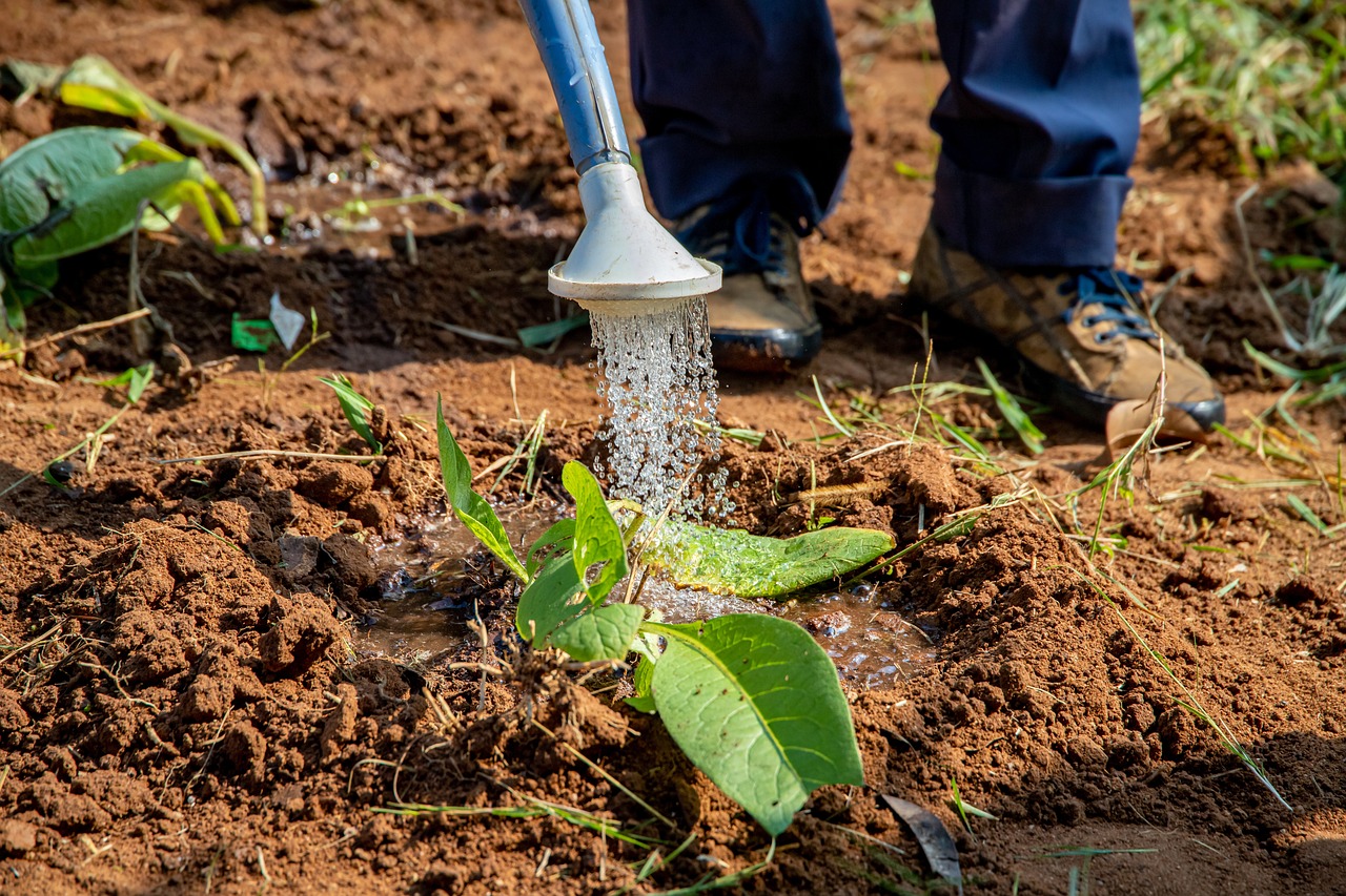 Eco-Friendly Innovations for a Cleaner Water System